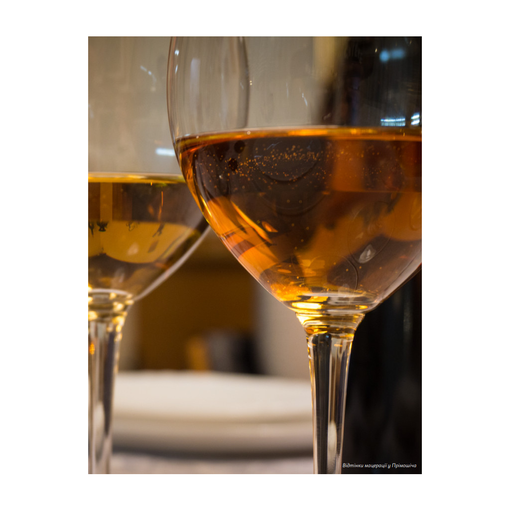 Книга Amber Revolution. Як світ закохався в оранжеве вино - Саймон Вулф, Раян Опаз Yakaboo Publishing (9786177544493) - зображення 11