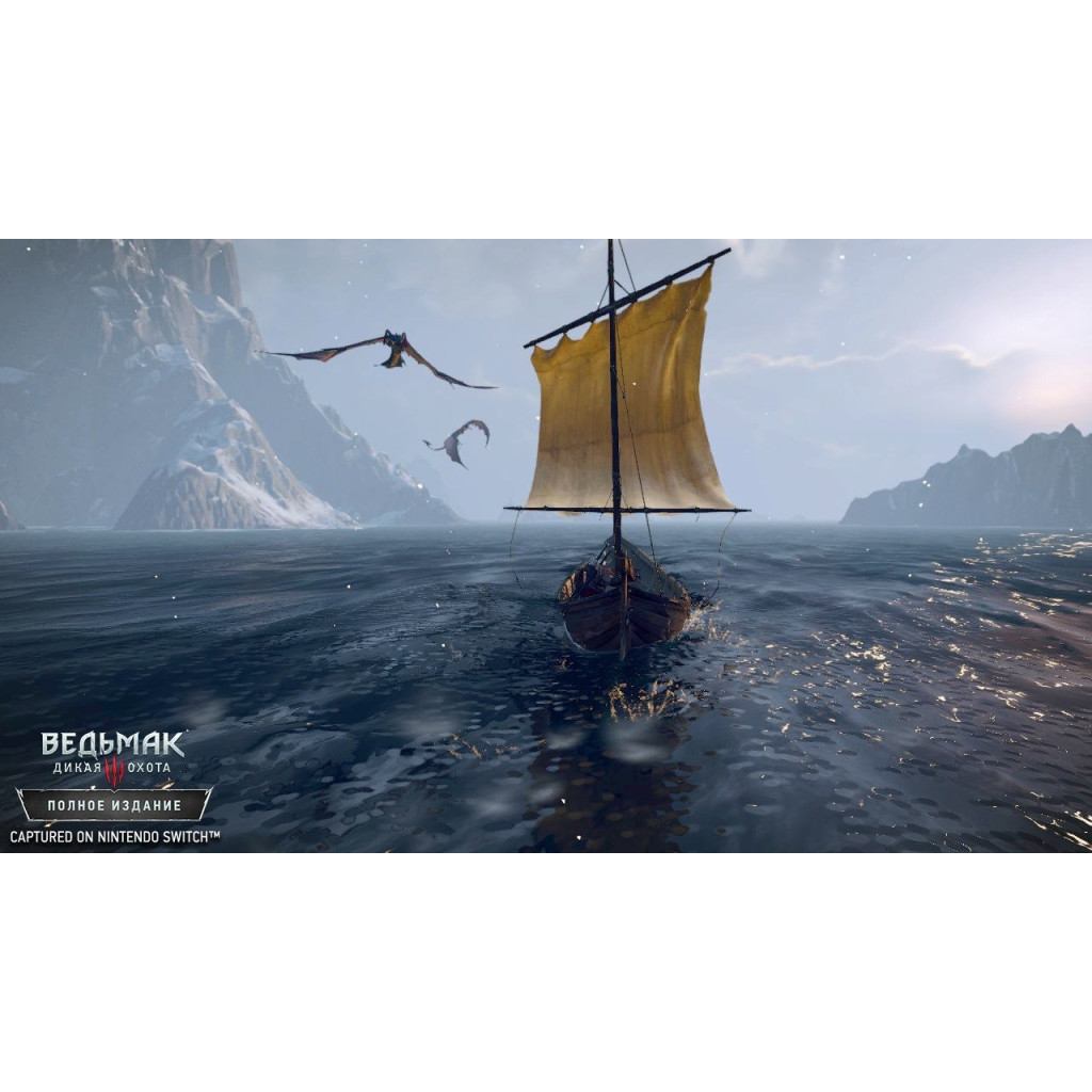 Гра Nintendo Switch The Witcher 3: Wild Hunt (1186876) - зображення 2