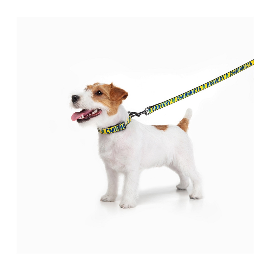 Повідок для собак WAUDOG Nylon "Сміливість" L-XXL Ш 25 мм (4925-0231) - зображення 5