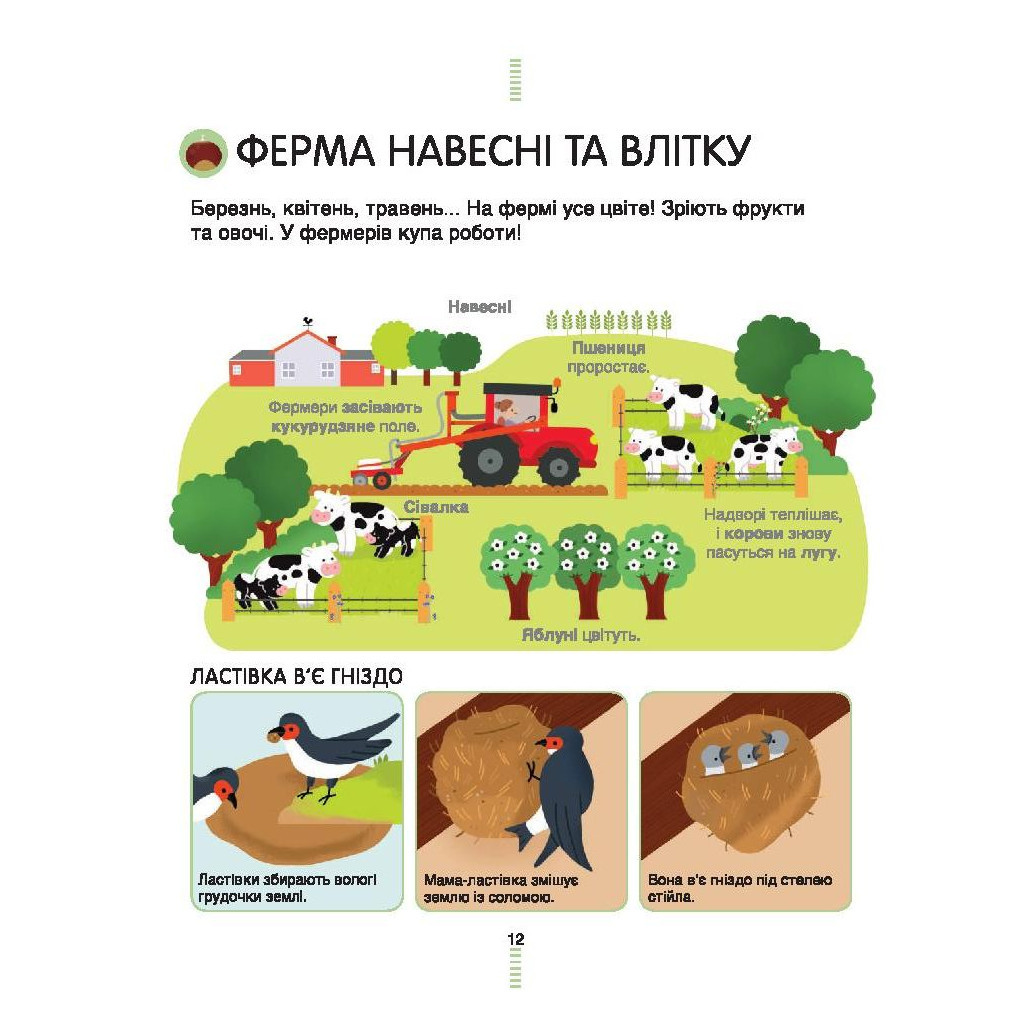 Книга На фермі. Енциклопедія для допитливих - Сесіль Югла #книголав (9786177820382) - зображення 6