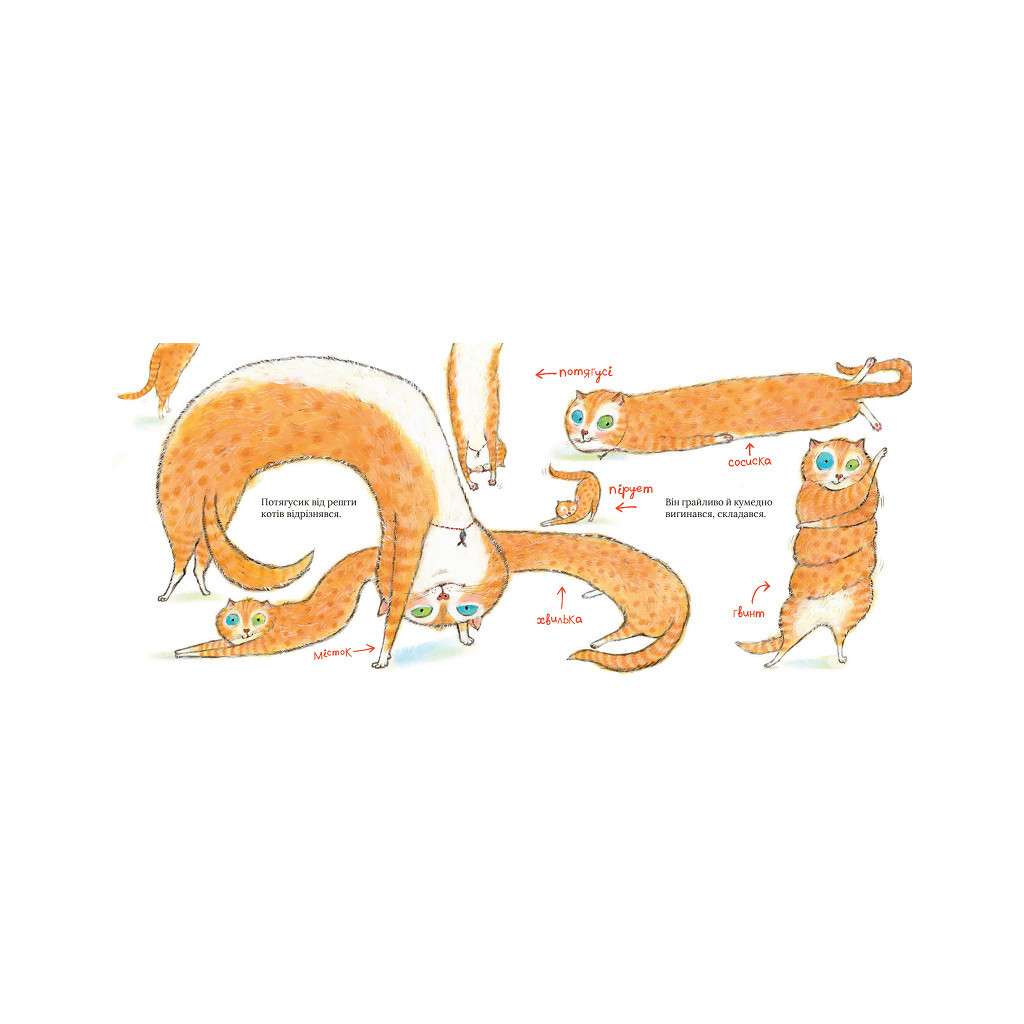 Книга Потягусик Пушацький - Джуді Шахнер Vivat (9789669823762) - зображення 2