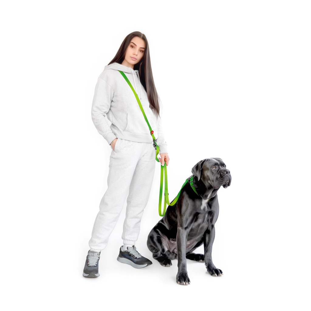 Повідець для собак WAUDOG Nylon Mono світловідбивний М салатовий (46485) - зображення 4