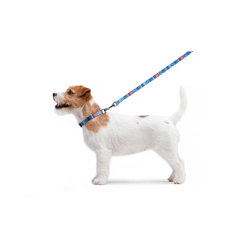 Повідець для собак WAUDOG Nylon "Етно синій" XS (5235) - зображення 4