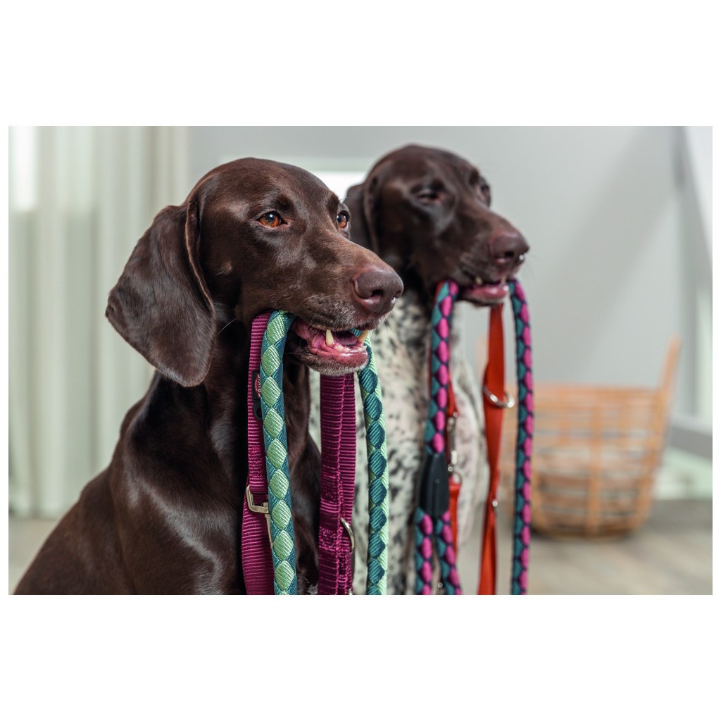 Повідець для собак Trixie Premium регульований двошаровий XS-S 2 м 15 мм бордовий (4053032673403) - зображення 3