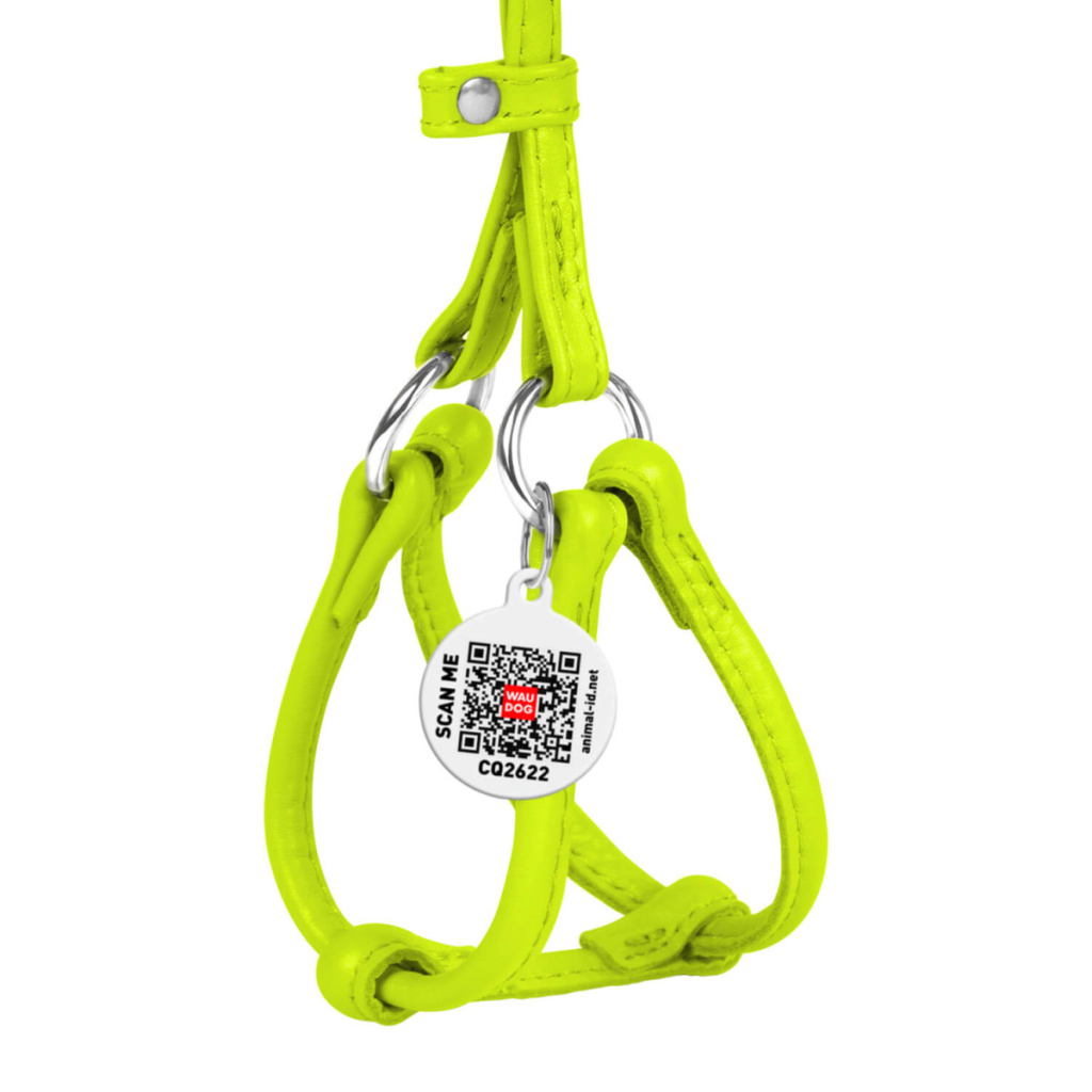 Шлея для собак WAUDOG Glamour з повідцем кругла Д 6 мм А 42-60 см В 46-64 см салатова (34025) - зображення 2