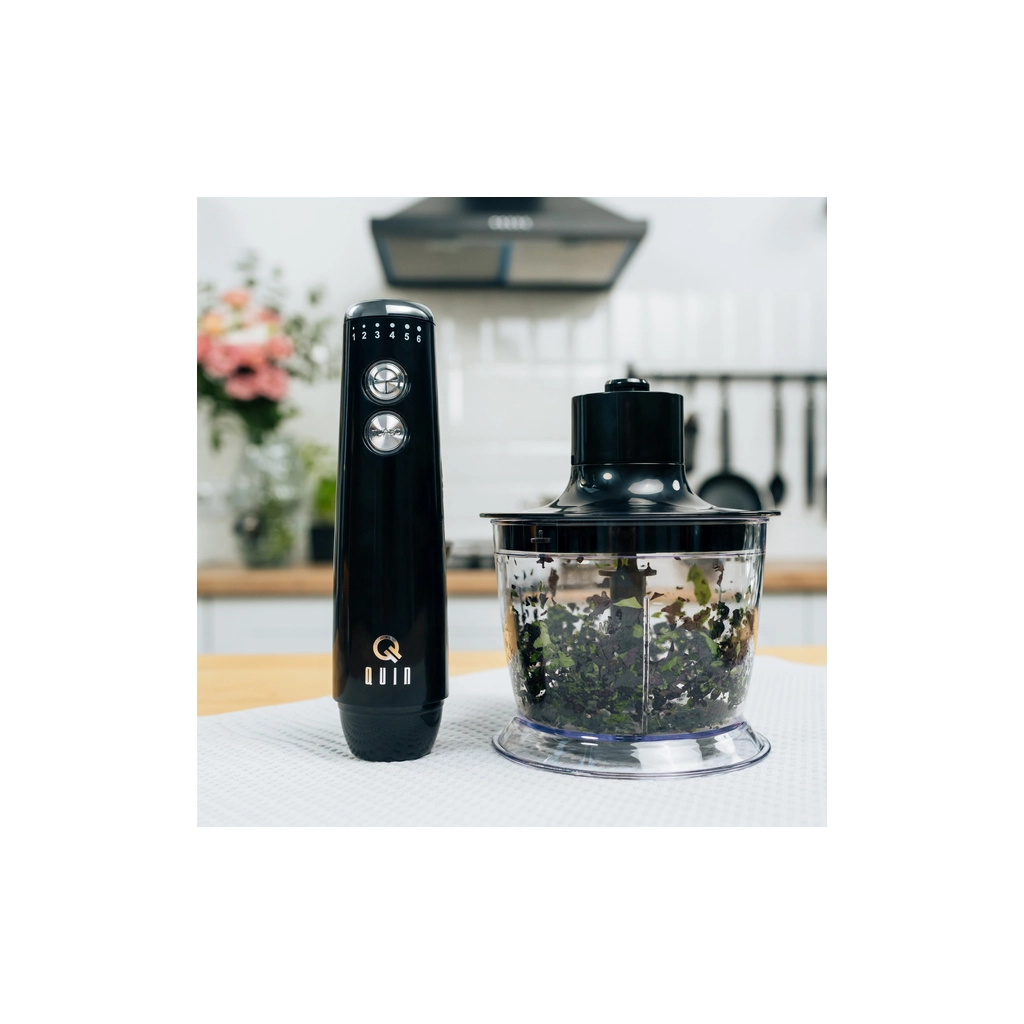 Блендер QUIN HB-103 - зображення 8