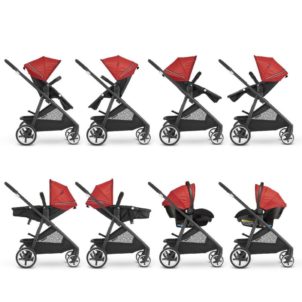 Коляска Evenflo Shyft Gold - Garnet (6910806231055/6910806230058) - зображення 5