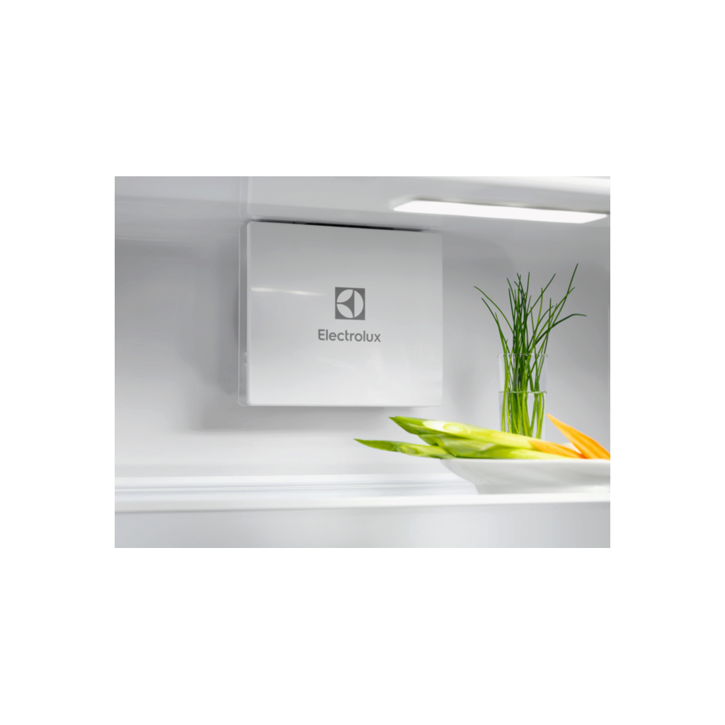 Холодильник Electrolux ERD6DE18S4 - зображення 3