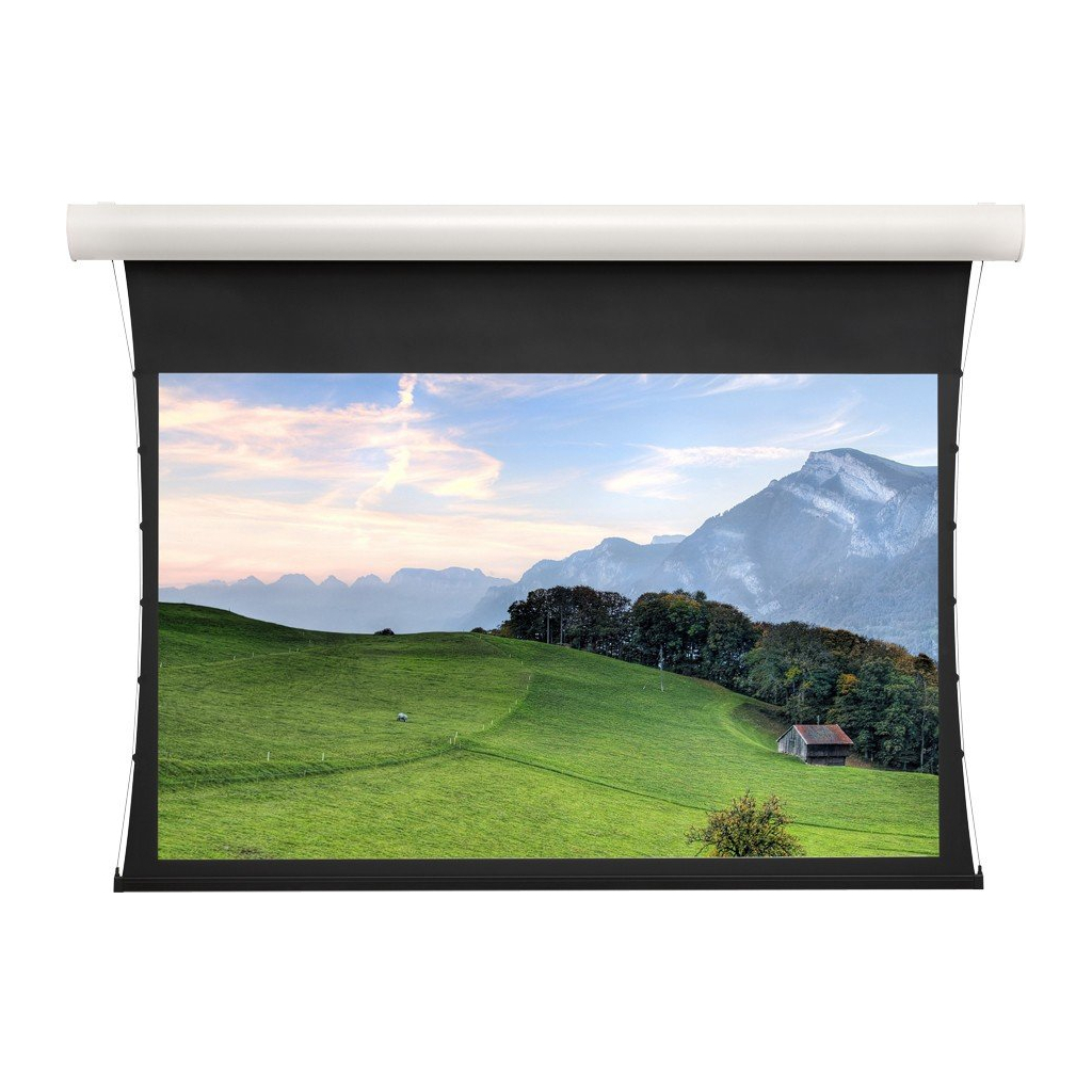 Проекційний екран Projecta Elpro Concept (10102108) - зображення 1