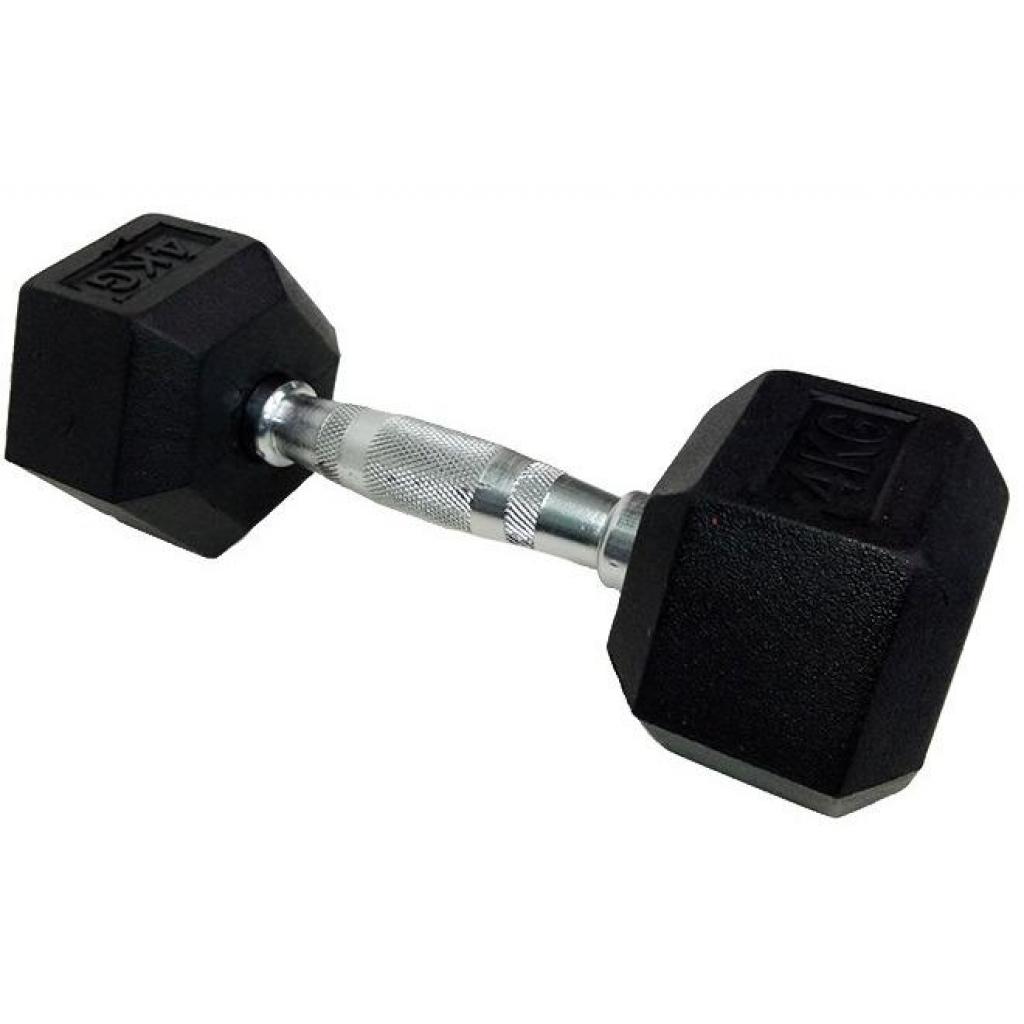 Гантель HSF DD 6442-4 - зображення 1