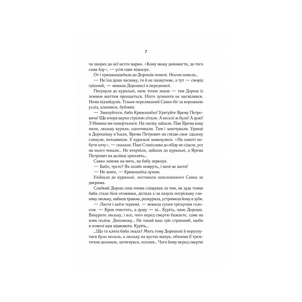 Книга Покров - Люко Дашвар КСД (9786171293120) - зображення 5