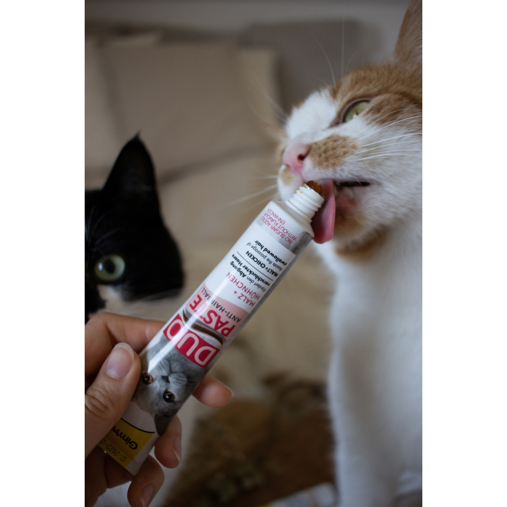 Паста для тварин GimCat DUO PASTE Anti-hairball malt with chicken мальт та курка 50 г (4002064427201) - зображення 5