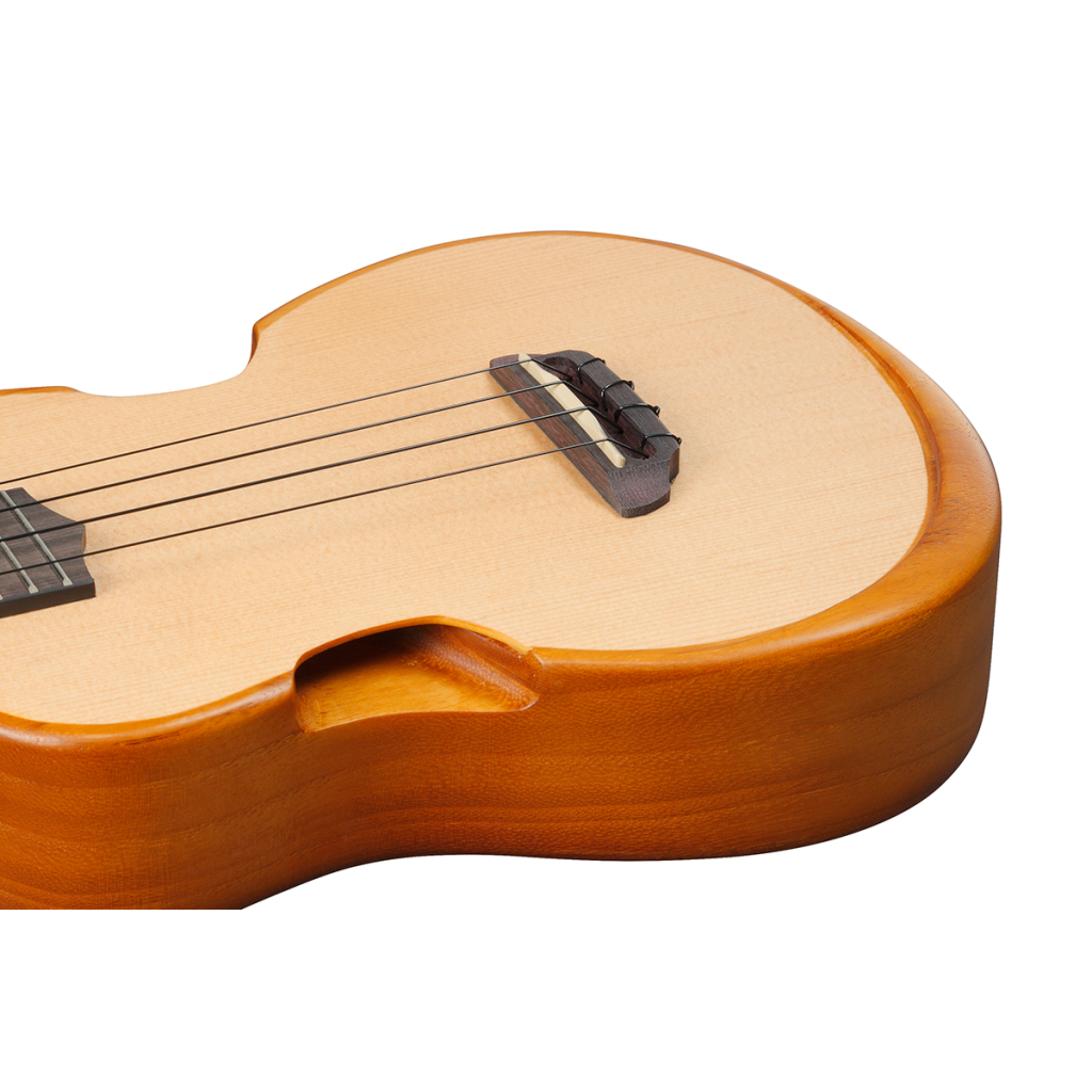 Укулеле Ibanez AUT10 OPN (234984) - изображение 11