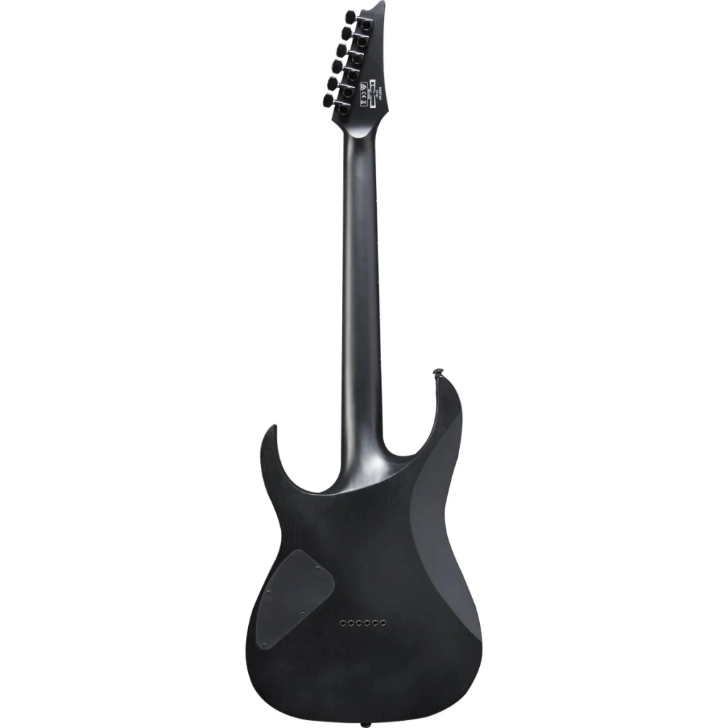 Електрогітара Ibanez RGRT421 WK (226617) - зображення 3
