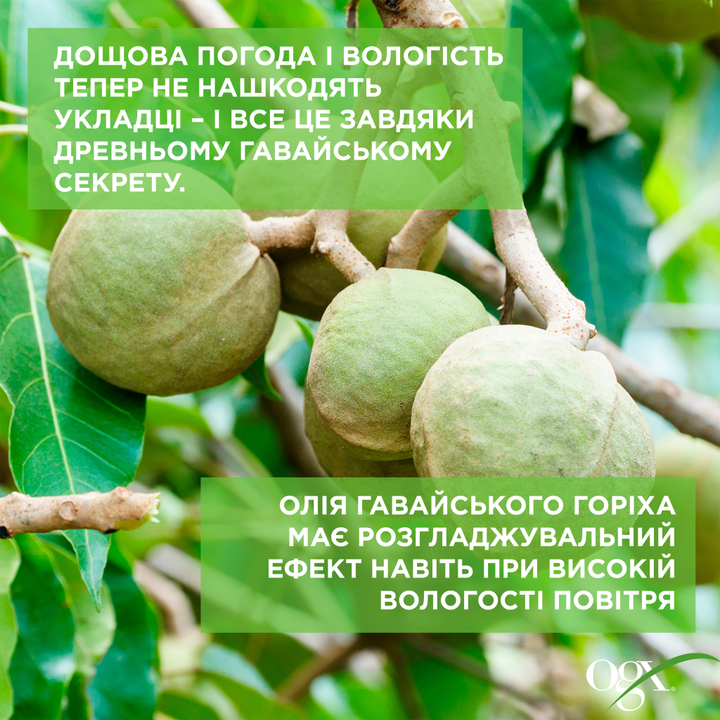 Кондиціонер для волосся OGX Kukui Oil Зволоження та гладкість 385 мл (0022796974228) - зображення 8
