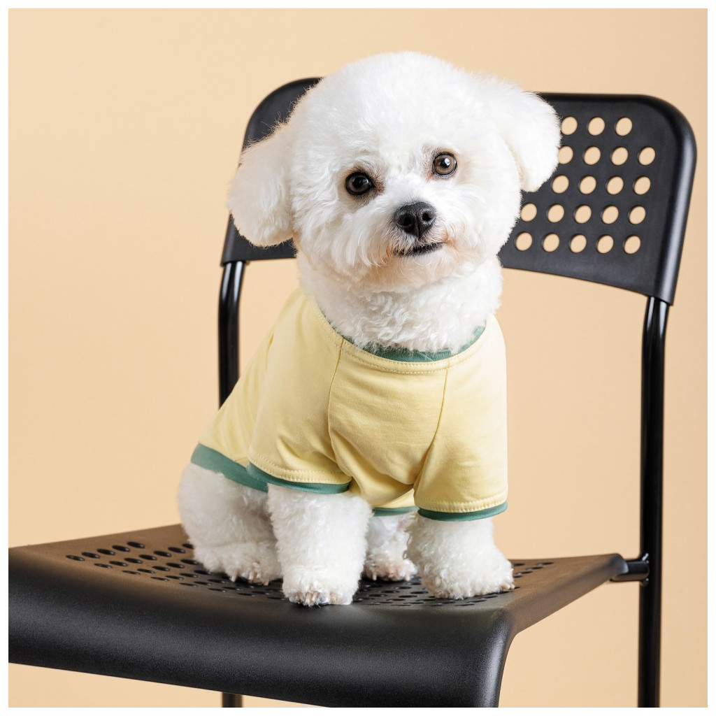 Футболка для тварин Pet Fashion Endy S (4823082434282) - зображення 4