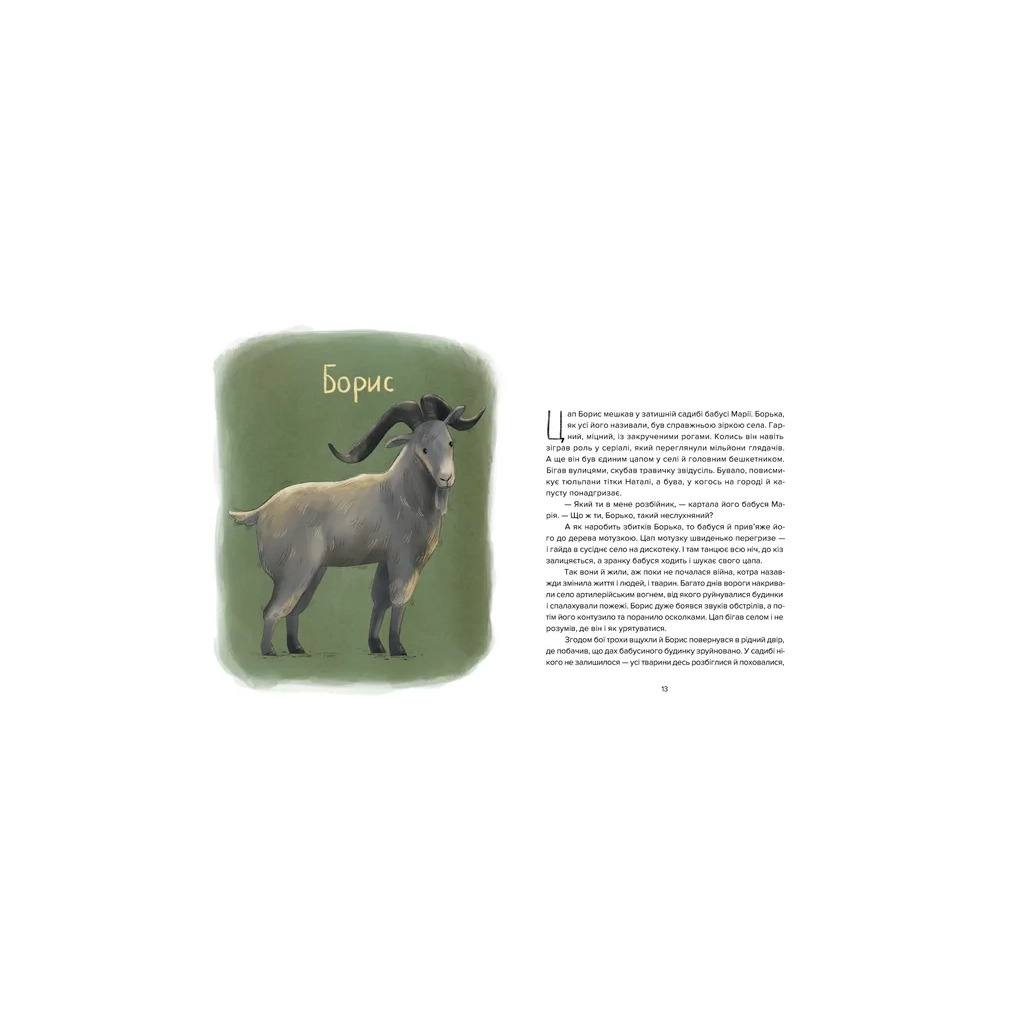 Книга Єнот Ракета та інші герої - Євгенія Завалій Видавництво Старого Лева (9789664481868) - зображення 5