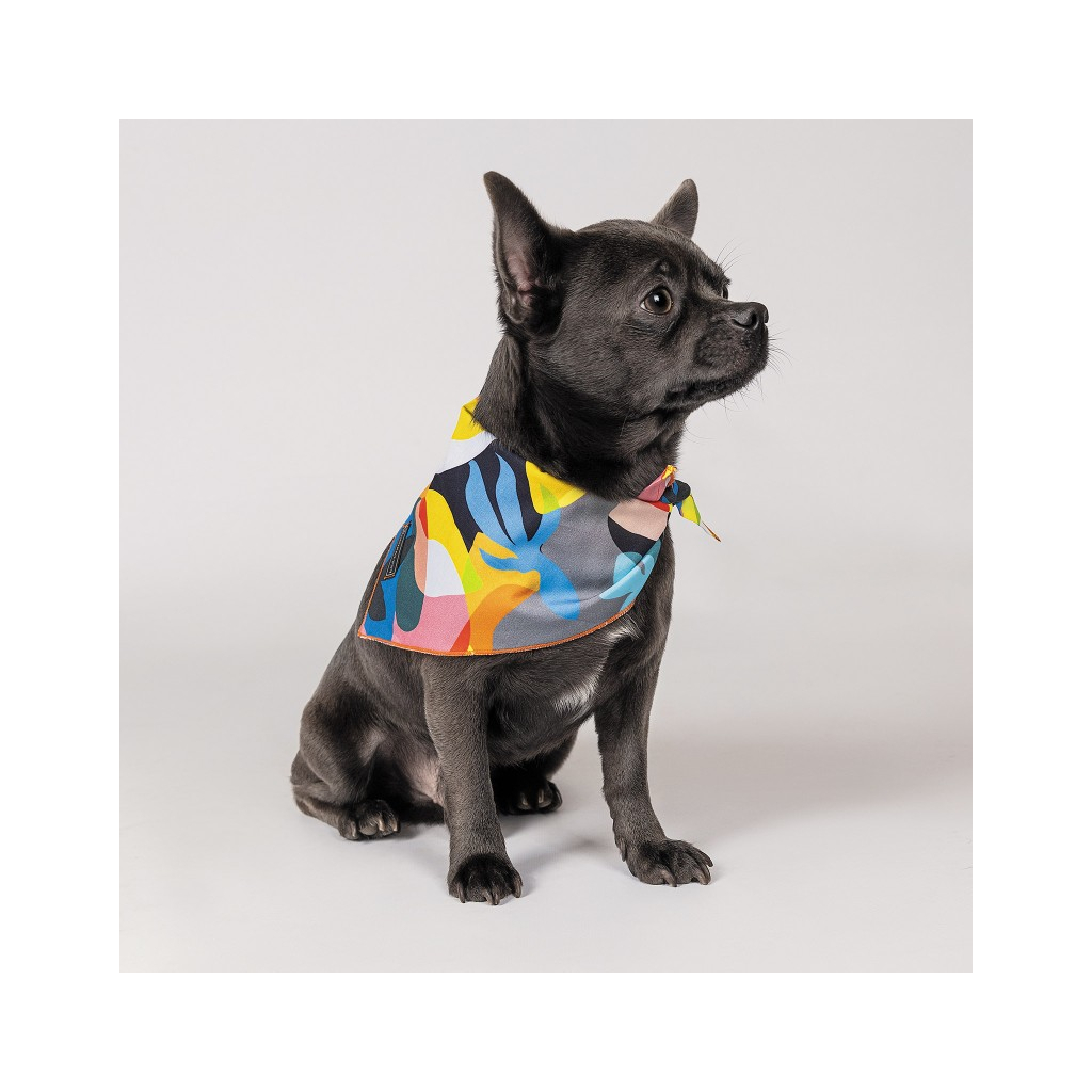 Бандана для тварин Pet Fashion "WEEKEND" XS-S принт (4823082421084) - зображення 2
