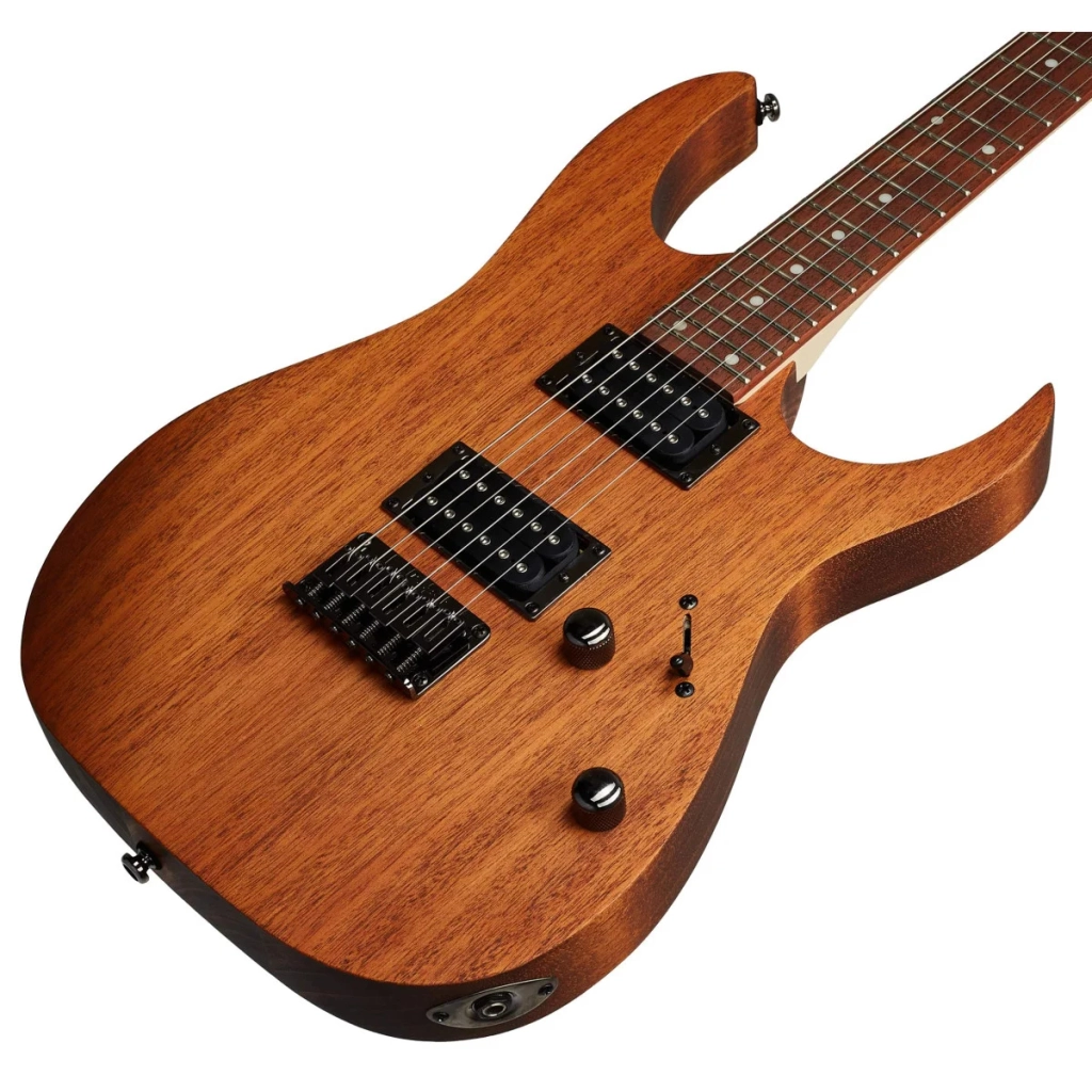 Електрогітара Ibanez RG421 MOL (220672) - изображение 3