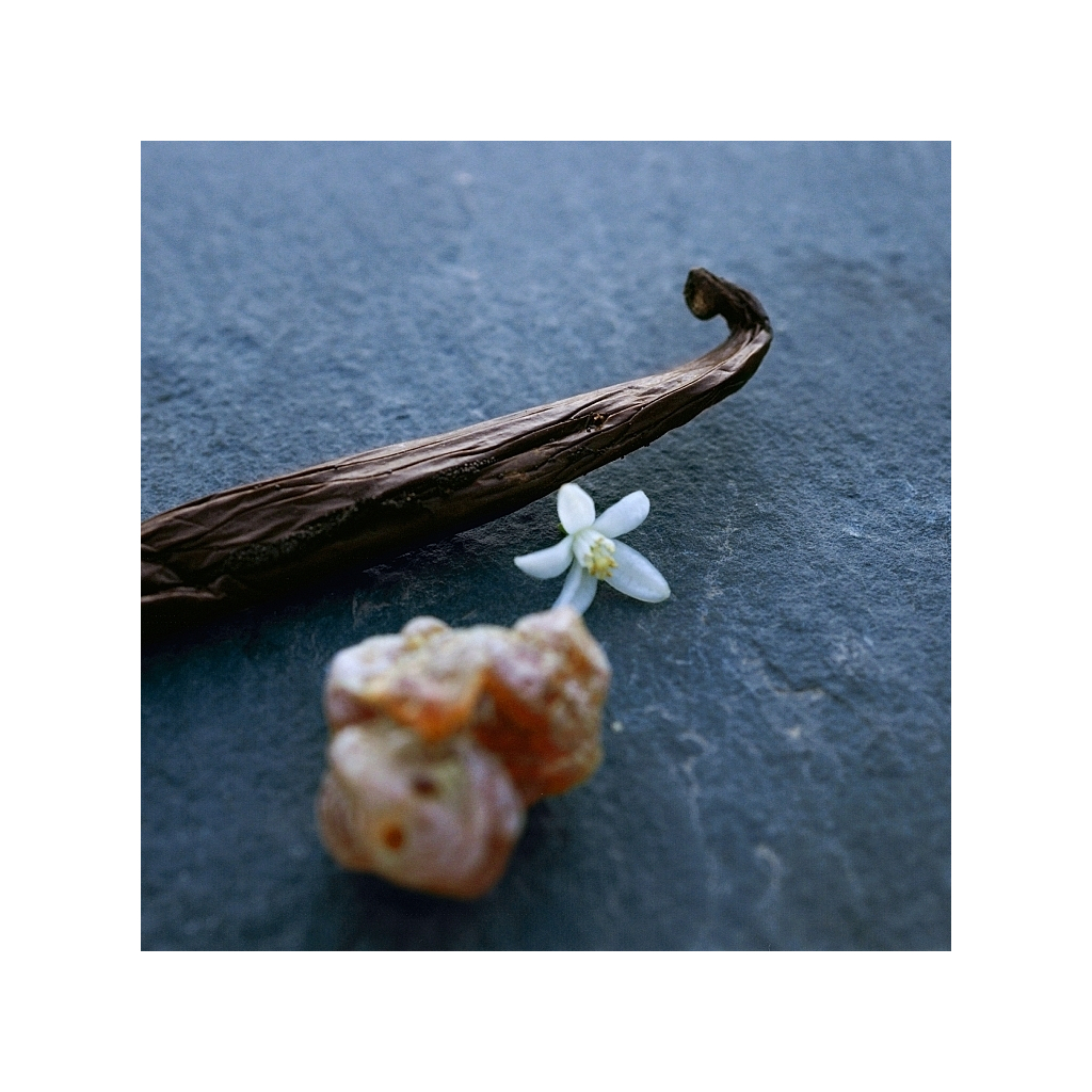 Парфумована вода Chloe Nomade Nuit d'Egypte 50 мл (3616303477943) - зображення 3