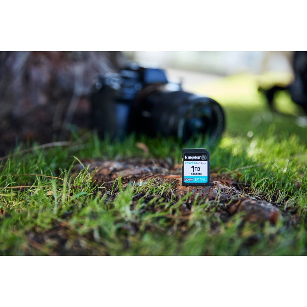 Карта пам'яті Kingston 256GB SDXC сlass 10 UHS-I U3 V30 Canvas Go Plus G4 (SDG4/256GB) - зображення 5