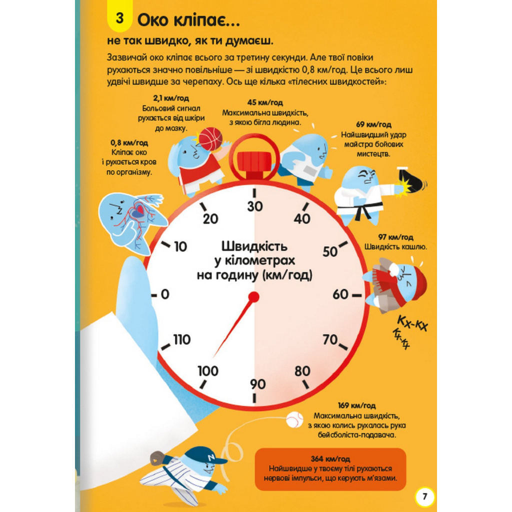 Книга 100 фактів про людське тіло #книголав (9786178012090) - зображення 6