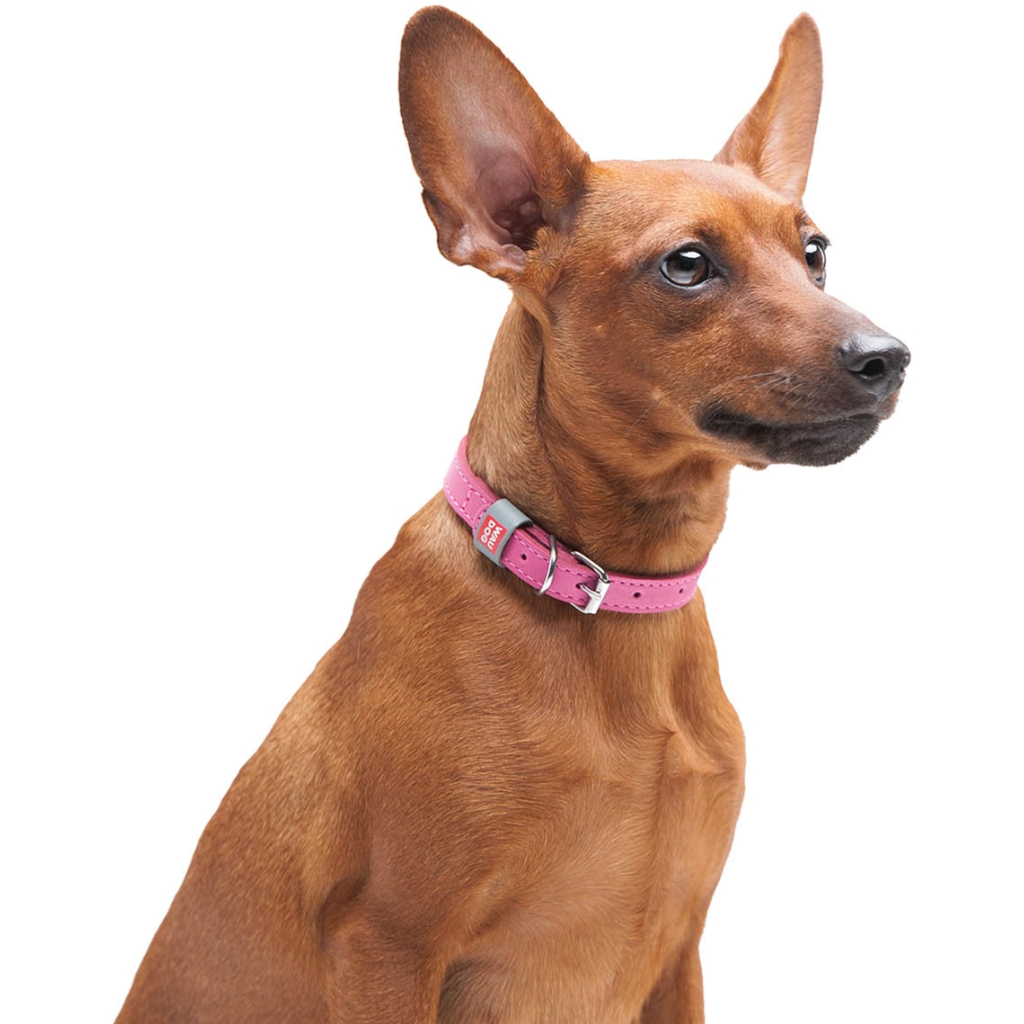 Нашийник для тварин WAUDOG Classic шкіряний 12 мм х 21-29 см рожевий (02027) - зображення 6