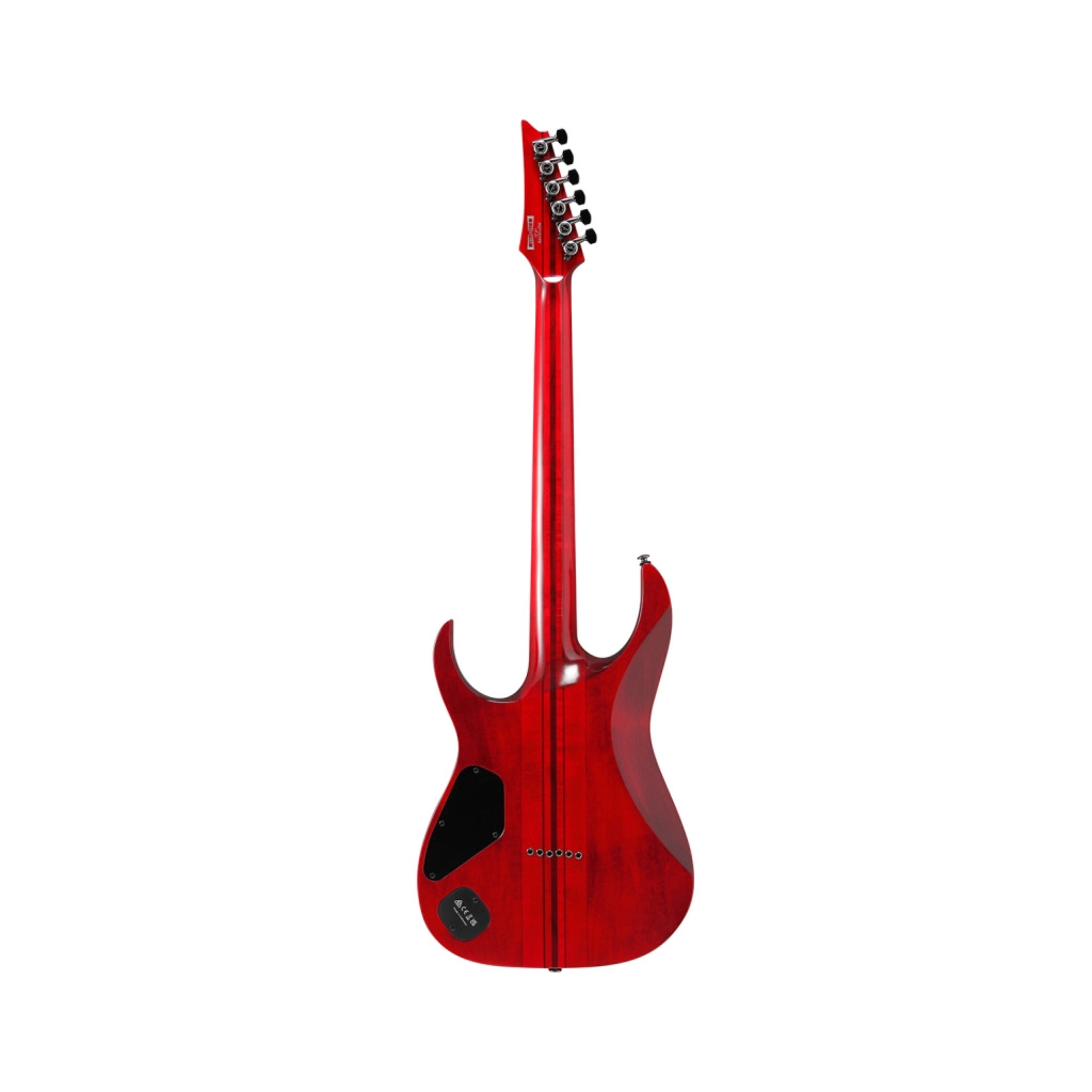 Електрогітара Ibanez RGT1221PB SWL (234938) - изображение 2