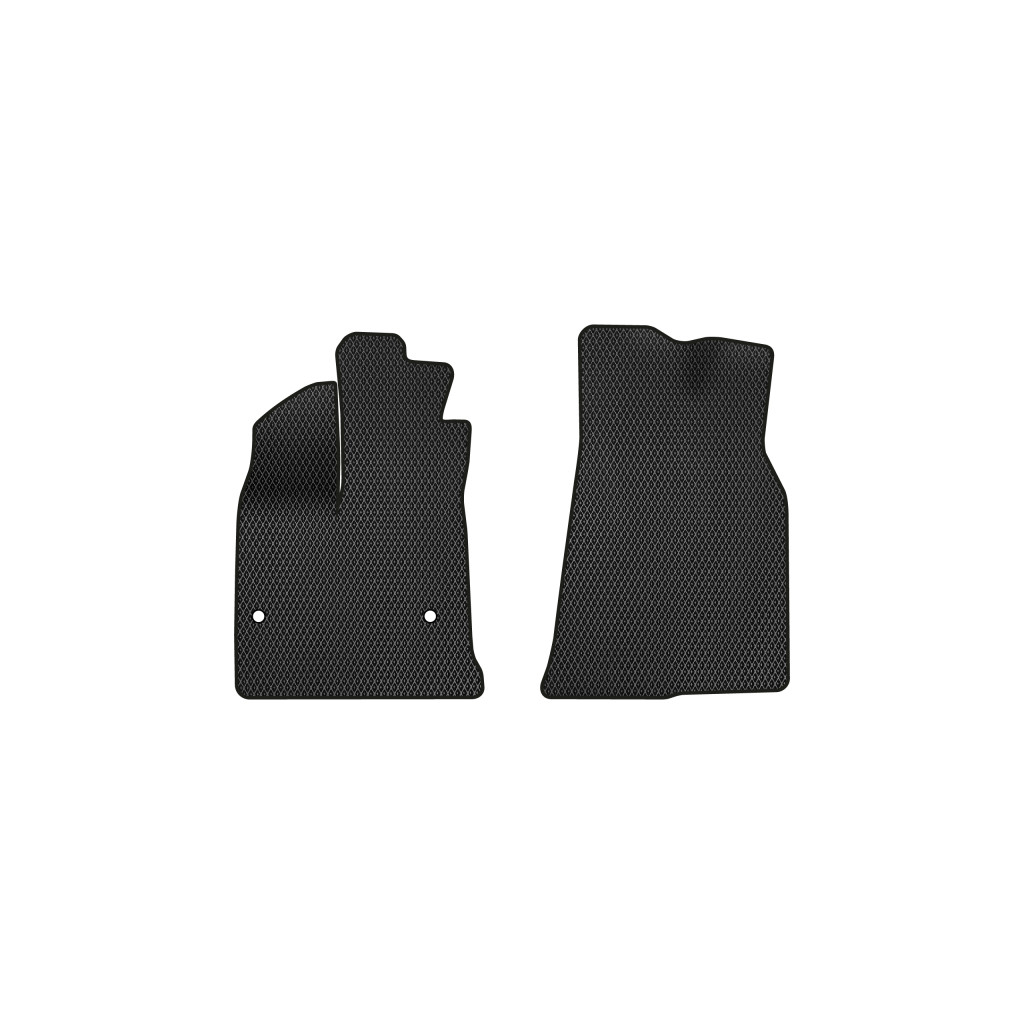 Килимок в салон EVAtech передні BYD E2 2019+ Htb China (BD42870A2AV2RBB) - зображення 1