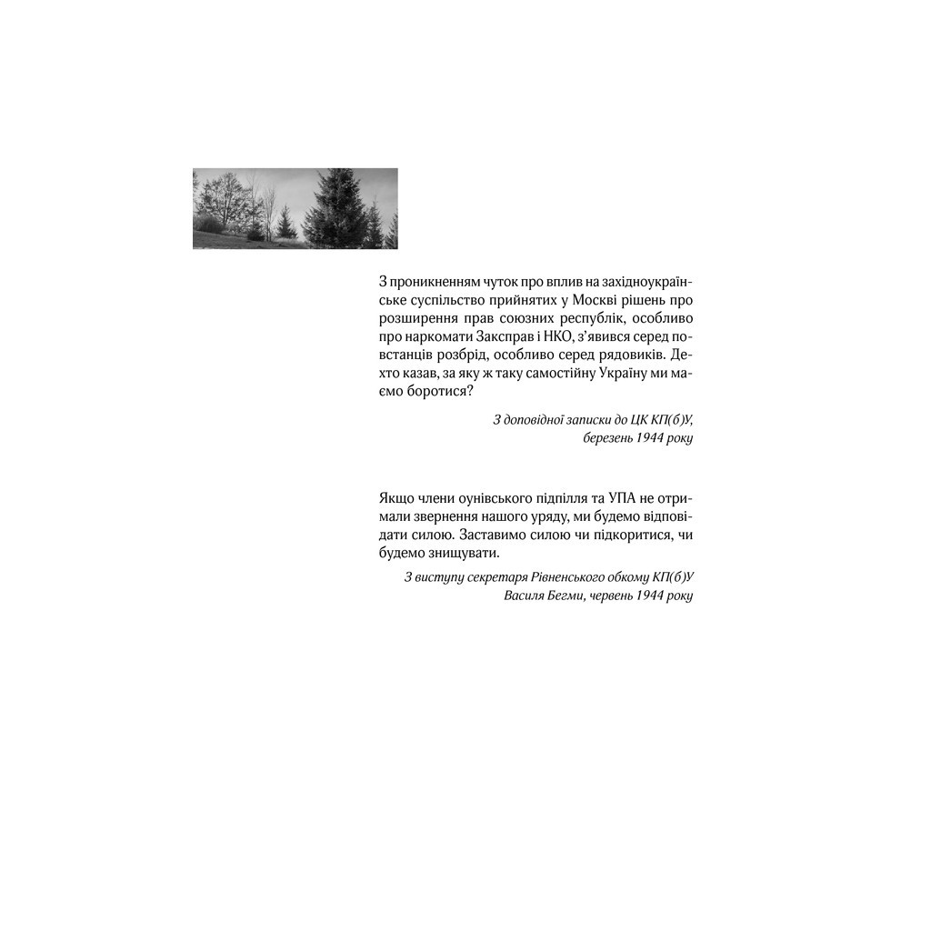 Книга Багряний рейд - Андрій Кокотюха КСД (9786171260498) - зображення 6