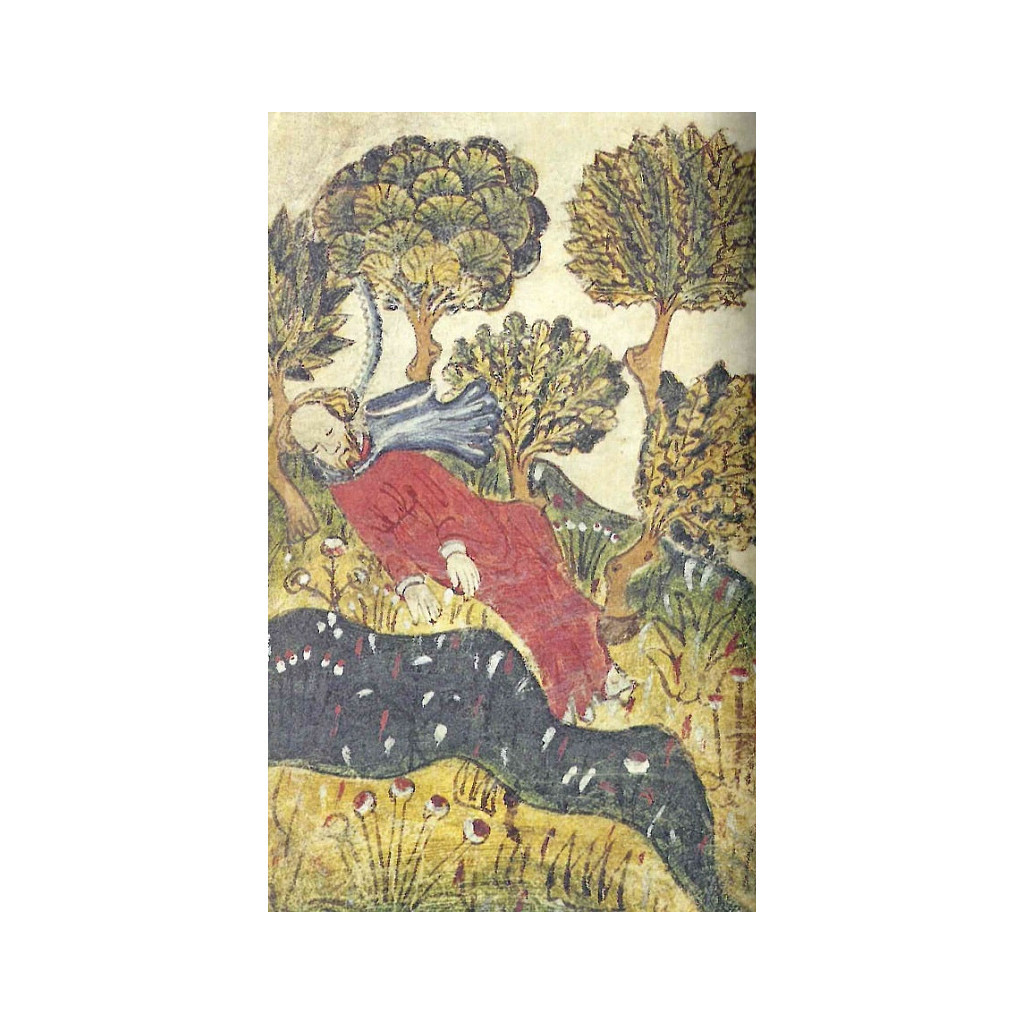 Книга Сер Ґавейн і Зелений Лицар, а також Перлина і Сер Орфео - Джон Р. Р. Толкін Астролябія (9786176642381) - зображення 10