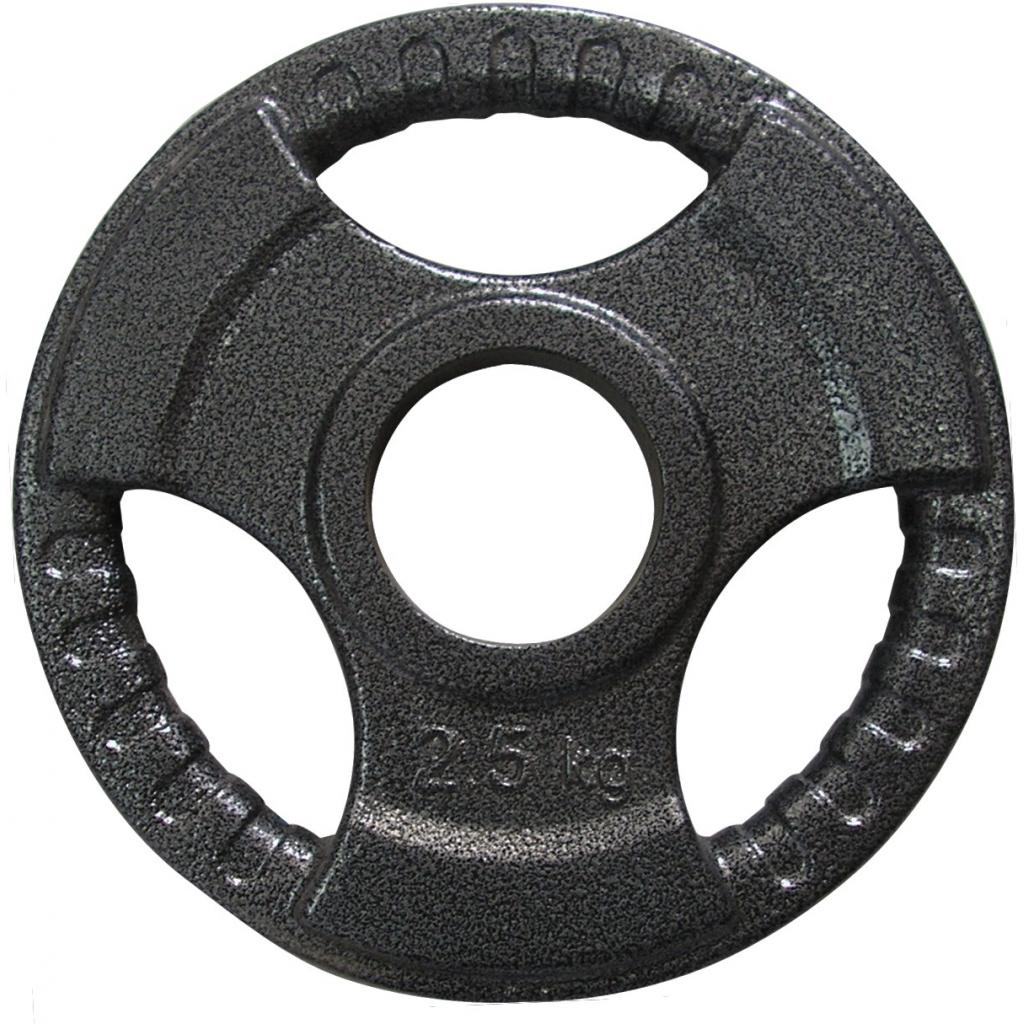 Диск для штанги Newt 2.5 кг (TI-N-02) - зображення 1