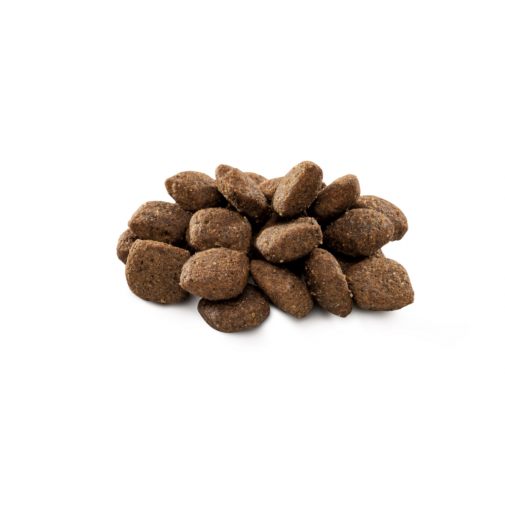 Сухий корм для собак Brit Premium Dog Sensitive Lamb 1 кг (8595602526611) - зображення 2