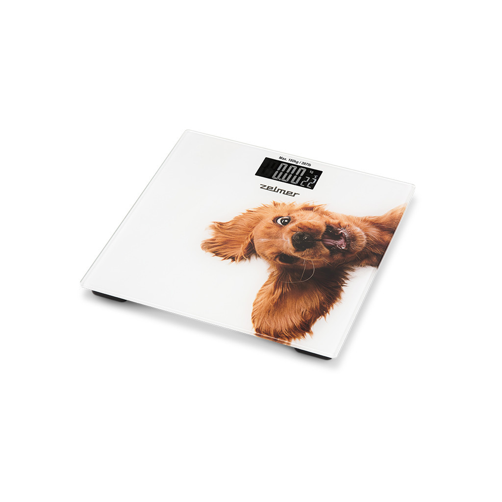 Ваги підлогові Zelmer ZBS1010 - зображення 1