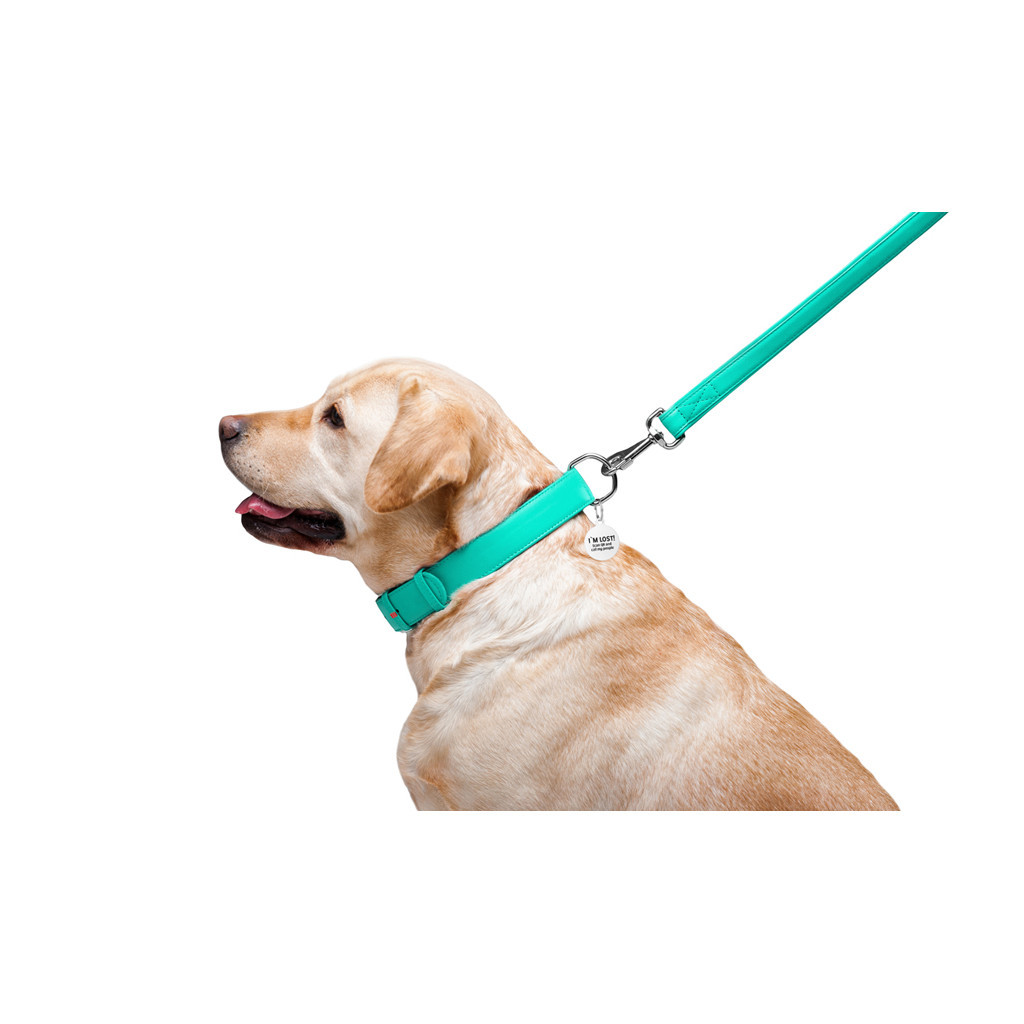 Повідець для собак WAUDOG Glamour шкіряний M-XXL ментоловий (337613) - зображення 6