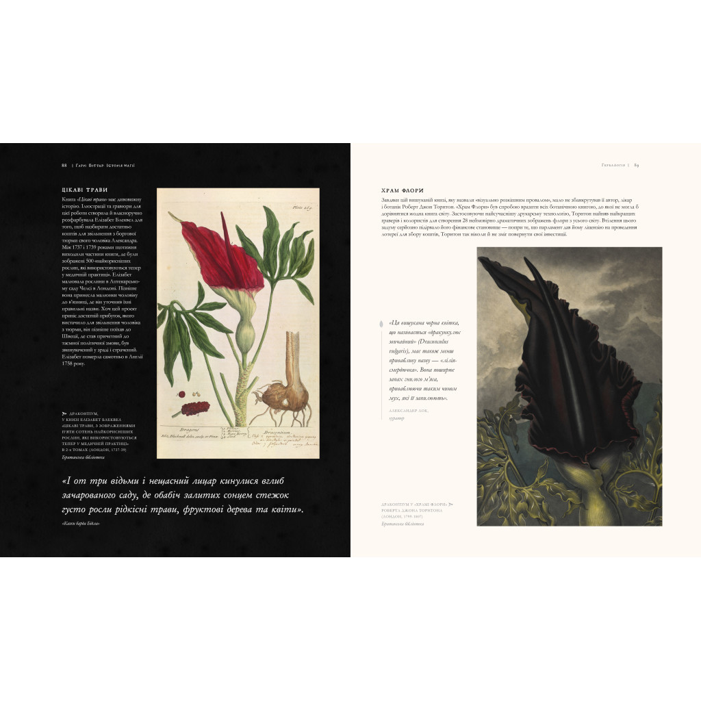 Книга Гаррі Поттер. Історія магії. Велике ілюстроване видання - Джоан Ролінґ А-ба-ба-га-ла-ма-га (9786175851685) - зображення 4