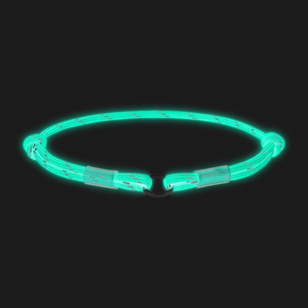 Шнурок для адресника WAUDOG Smart ID світловідбивний S 25-45 см блакитний (60402) - зображення 2