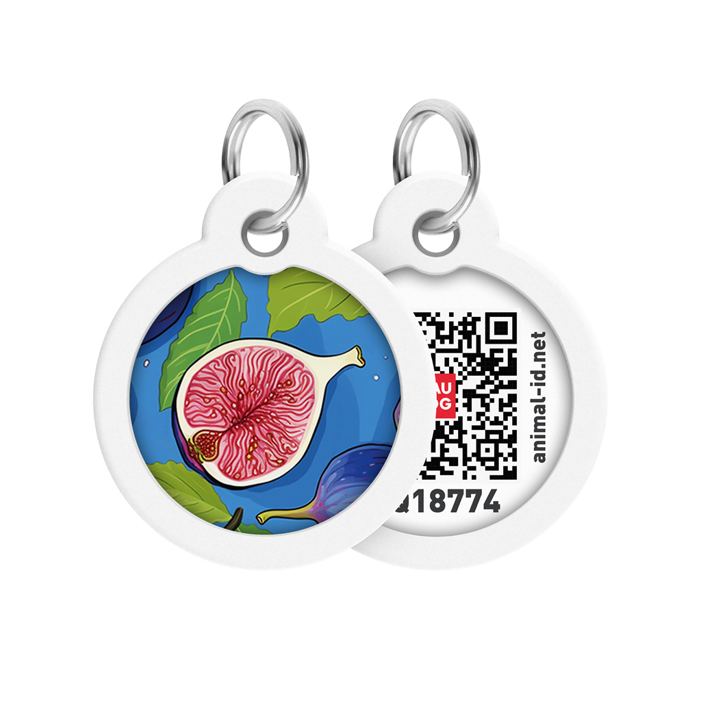 Адресник для тварин WAUDOG Smart ID з QR паспортом "Інжир", коло 30 мм (230-4053) - зображення 1