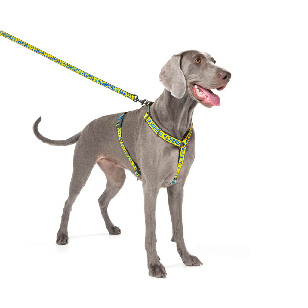 Шлея для собак WAUDOG Nylon анатомічна H-подібна Сміливість М (5150-0231) - зображення 5