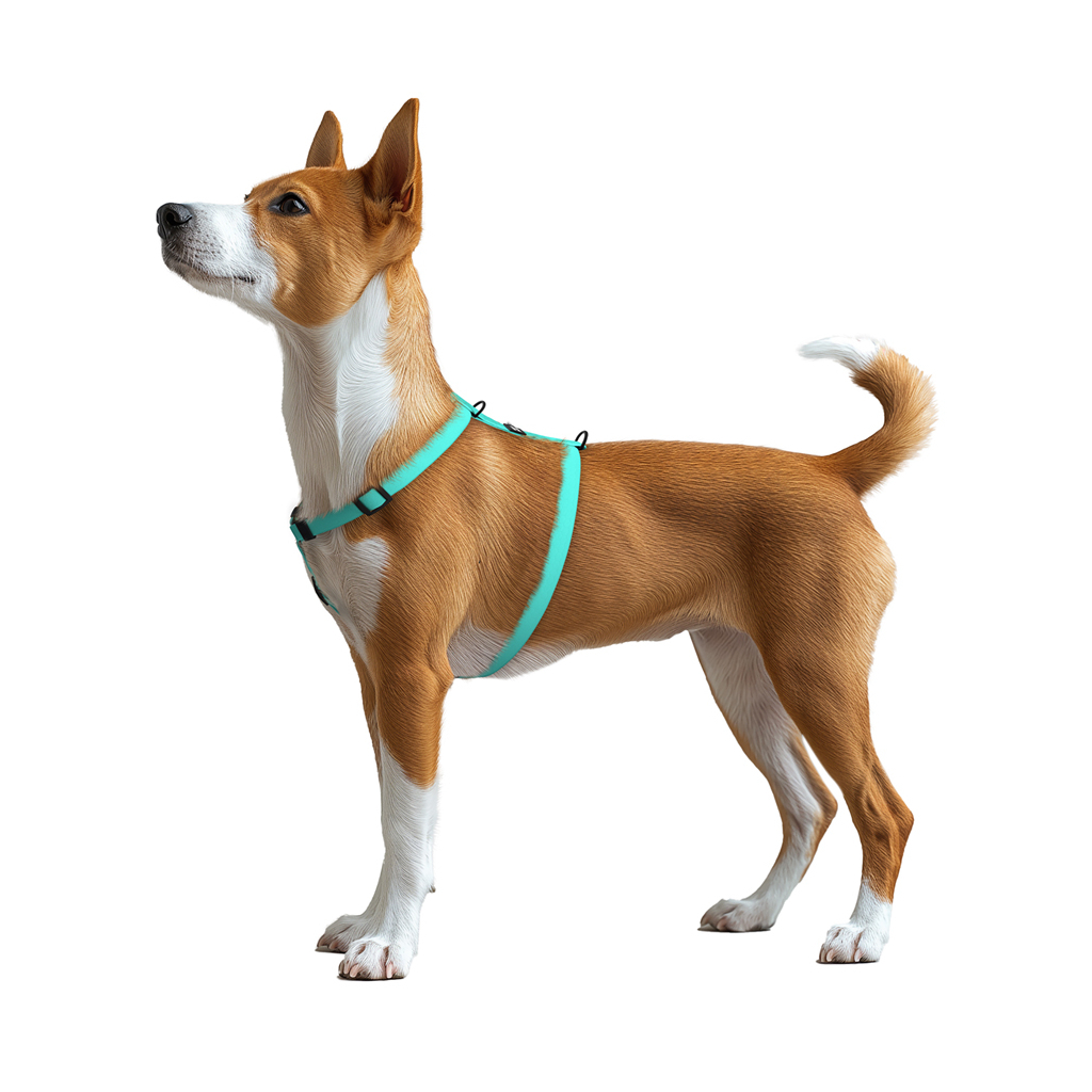 Шлея для собак WAUDOG Magnet анатомічна Н-подібна з QR-паспортом, магнітна пряжка-фастекс S тіффані (262227) - зображення 5