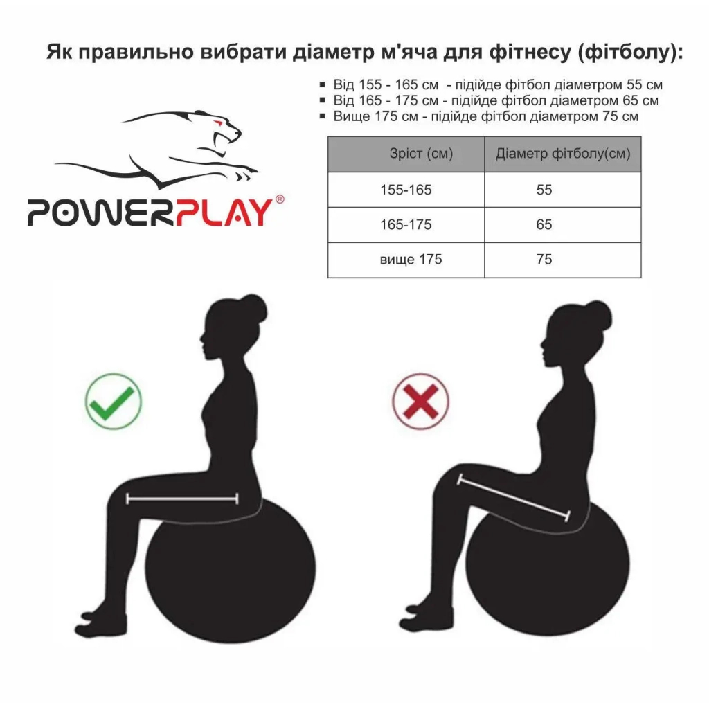 М'яч для фітнесу PowerPlay 4003 65см Синій + помпа (PP_4003_65_Blue) - зображення 6