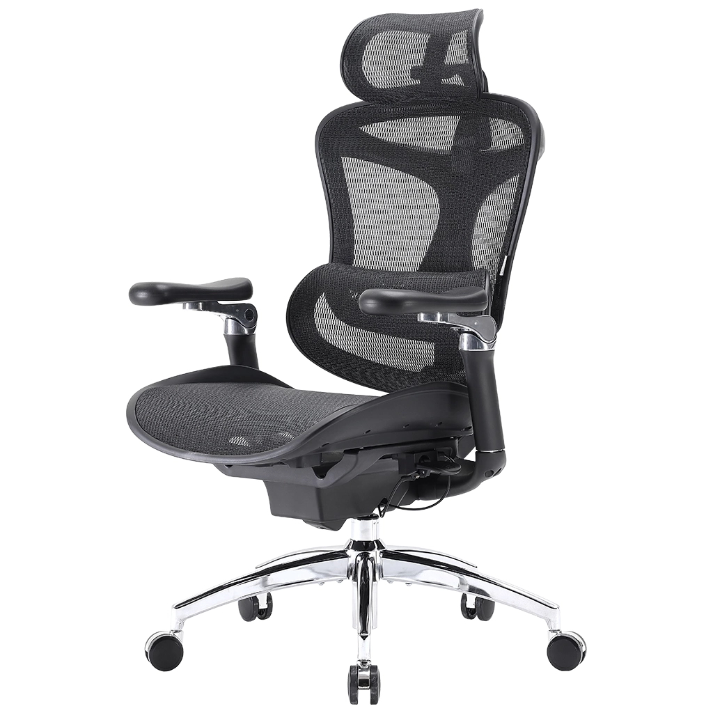 Офісне крісло Sihoo DORO C300 Pro Mesh Black (DORO-C300-PRO-M101) - picture 1