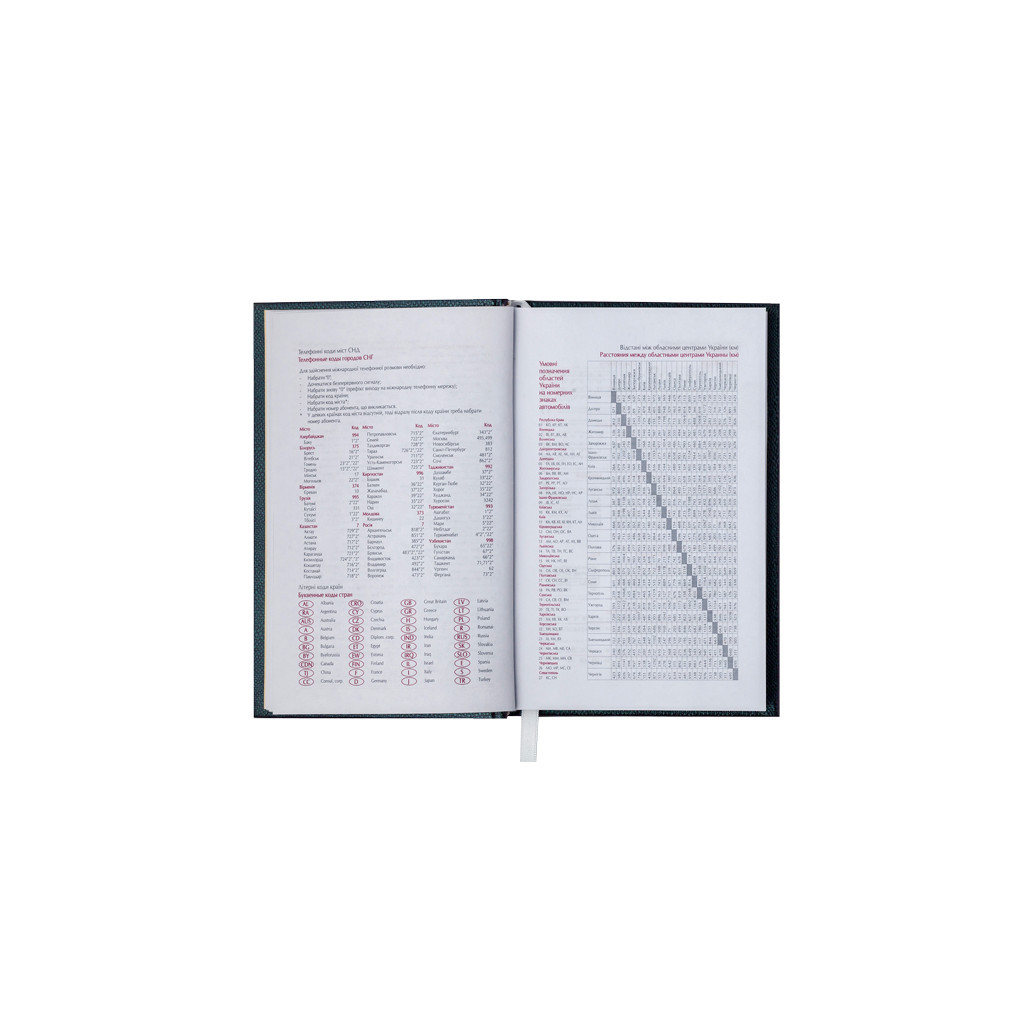 Тижневик Buromax недатований Amazonia А6 з шт. шкіри на 288 сторінок Чорний (BM.2612-01) - зображення 9