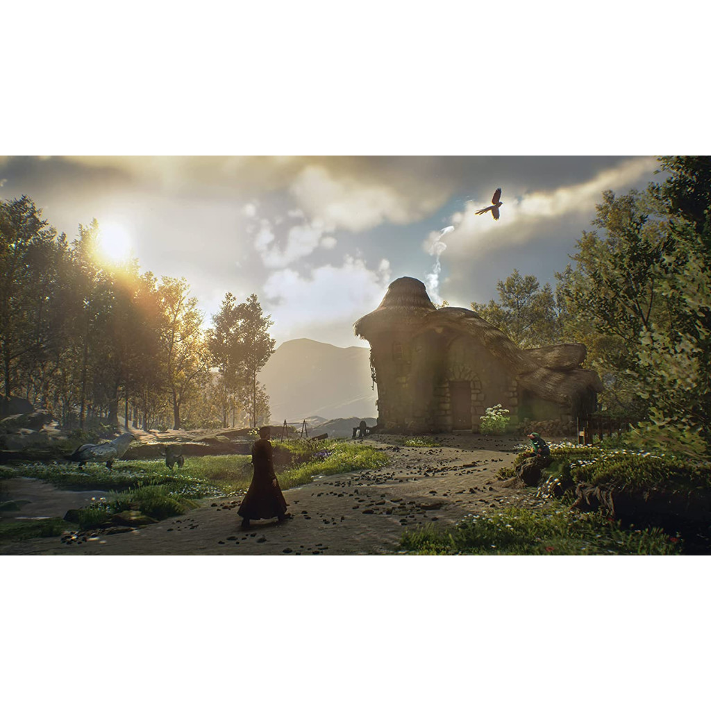 Гра Sony Hogwarts Legacy. Deluxe Edition, BD диск (5051895415412) - зображення 2
