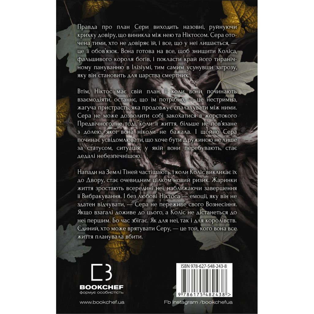 Книга Плоть і вогонь. Книга 2: Світло у пломені - Дженніфер Л. Арментраут BookChef (9786175482438) - зображення 3