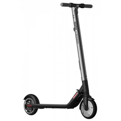 Електросамокат Segway Ninebot ES2 (40.02.0000.00) - зображення 1
