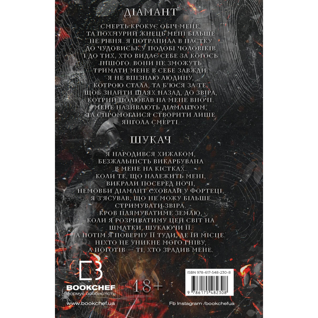 Книга Гра в кота і мишу. Книга 2: Полювання на Аделіну - Х. Д. Карлтон BookChef (9786175482308) - зображення 3