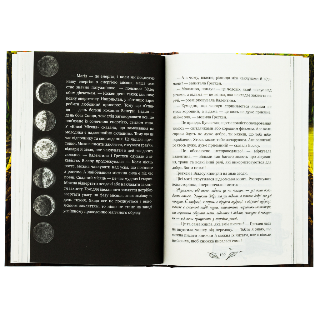 Книга Дівчинка на ім'я Віллоу - Забіне Больман КСД (9786175482544) - изображение 6