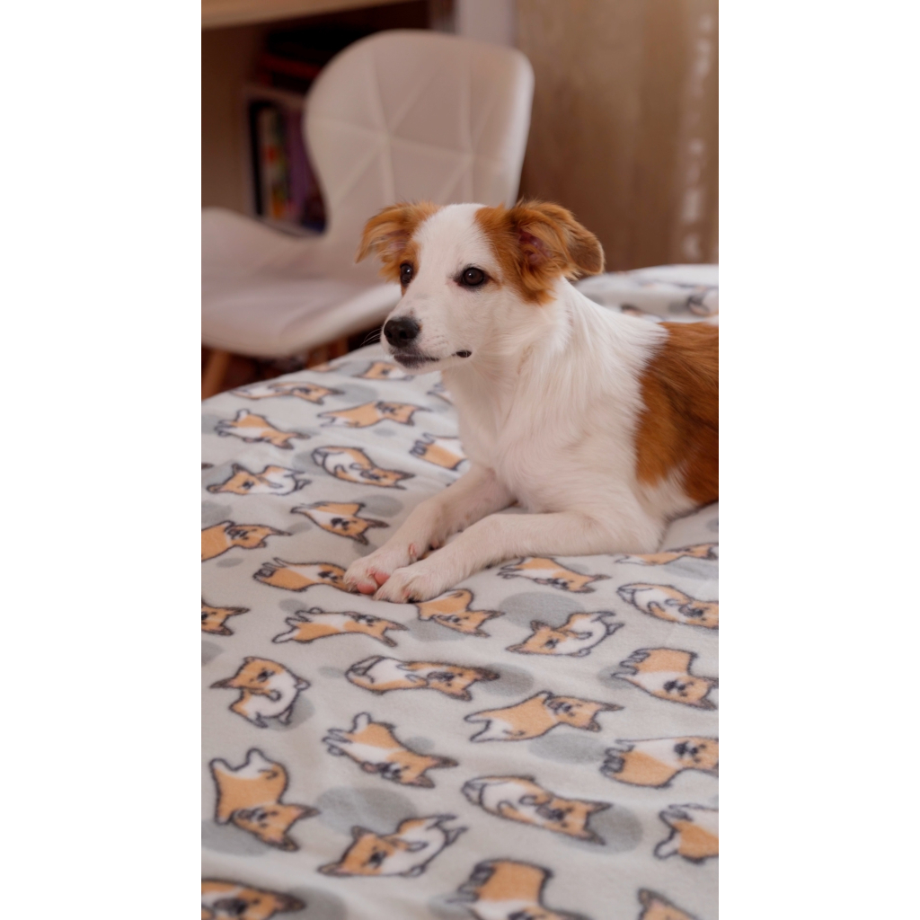 Плед Ardesto Fleece 100% поліестер 130x160см коргі (ART0713PB) - зображення 8