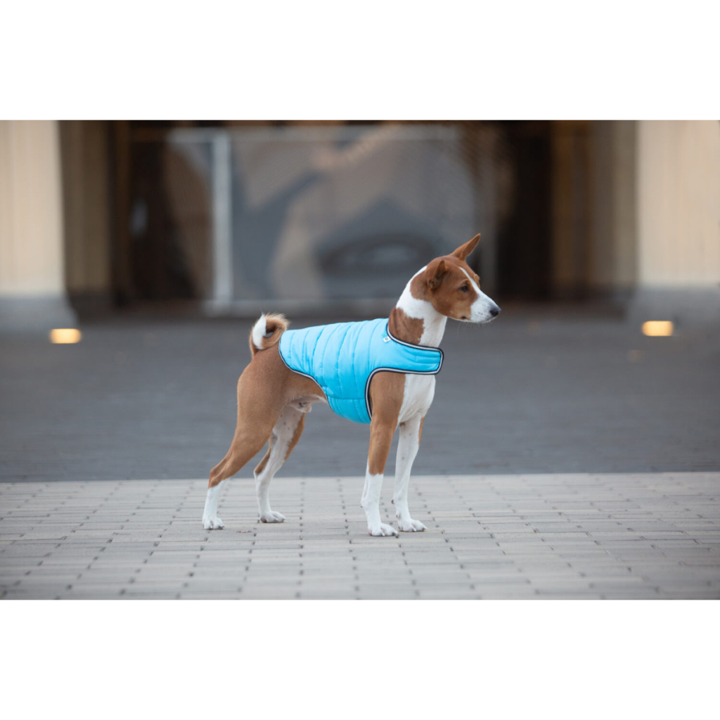 Курточка для тварин Airy Vest S блакитна (15422) - зображення 3